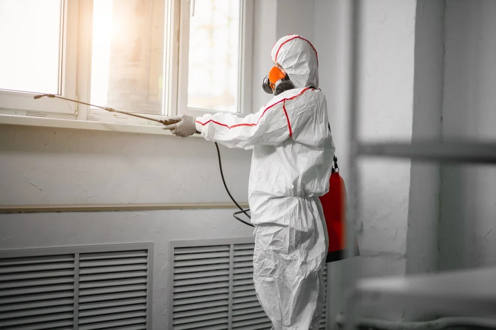 Professional mold remediation services in Center Conway, NH